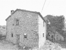 Ruderi dell'Abbazia di San Lorenzo in Vibiata